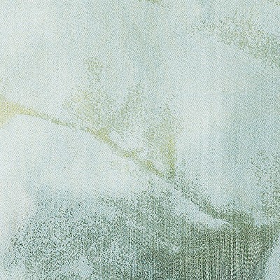 Scalamandre ANTOINETTE WARP PRINT MEADOW