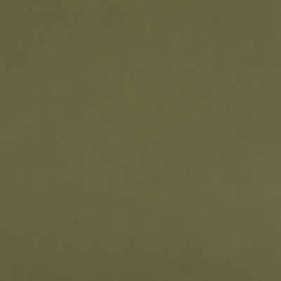 Scalamandre ATOMIC FR OLIVE