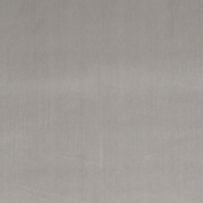 Scalamandre VIP PEWTER