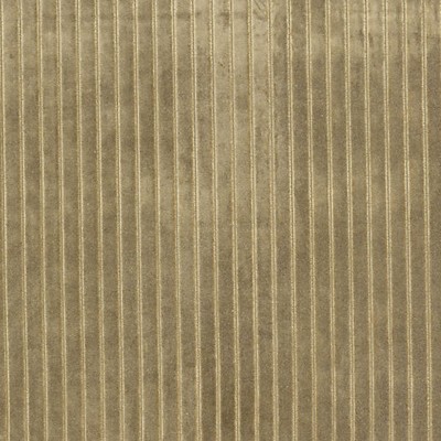 Scalamandre VELVET STRIPE KHAKI