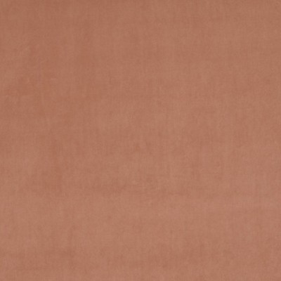 Scalamandre VIP SALMON