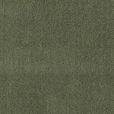 Scalamandre APOLLODOR SAGE