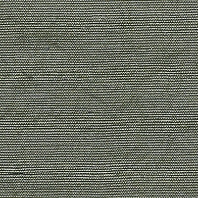 Scalamandre BELUNA MOSS