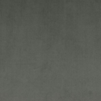 Scalamandre VIP ELEPHANT