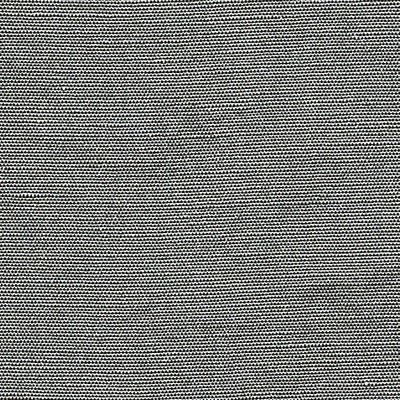 Scalamandre BELUNA STEEL