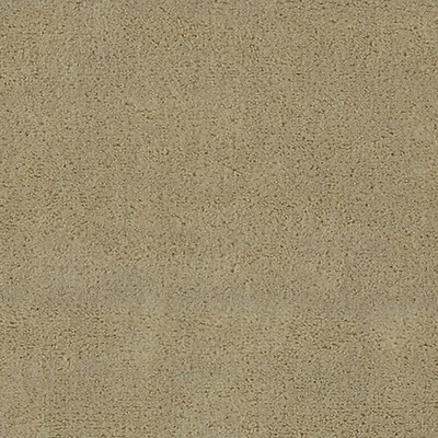 Scalamandre APOLLODOR SAHARA