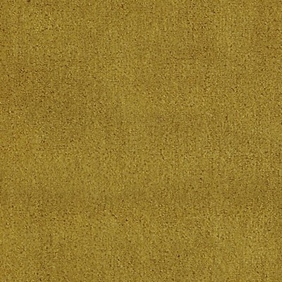 Scalamandre APOLLODOR CURRY