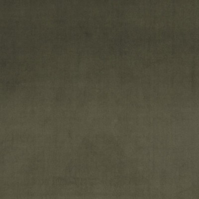 Scalamandre VIP FOREST