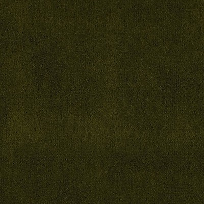 Scalamandre APOLLODOR PESTO