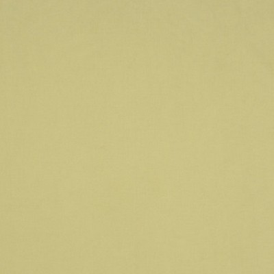 Scalamandre SONATINE KIWI