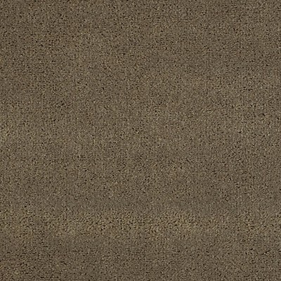 Scalamandre APOLLODOR MINK