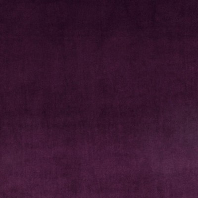 Scalamandre VIP GRAPE