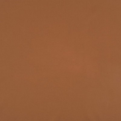 Scalamandre ATOMIC FR SPICE