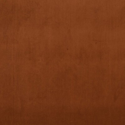 Scalamandre VIP SADDLE