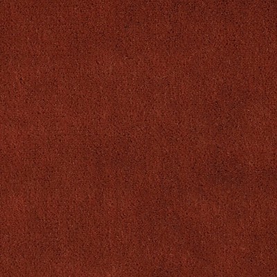 Scalamandre APOLLODOR GUAVA