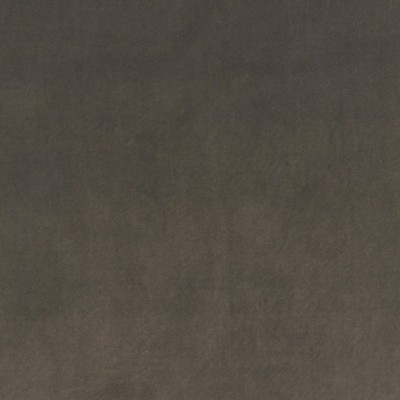 Scalamandre VIP MOCHA