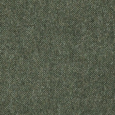 Scalamandre POLARIS MOSS