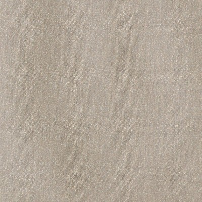 Scalamandre FATA MORGANA PEWTER