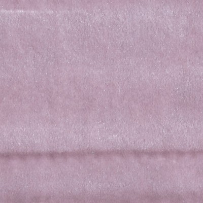 Scalamandre VITUS PETAL