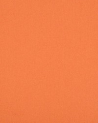 Scalamandre Benu Remix Kumquat Fabric