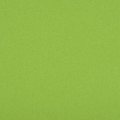 Scalamandre BENU REMIX GRASS