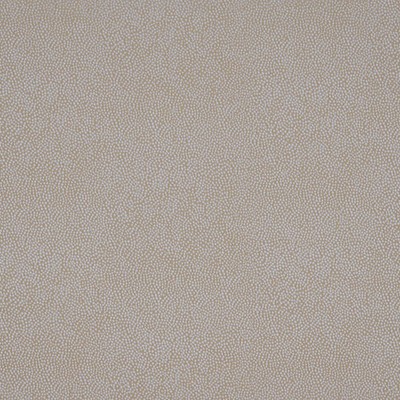 Scalamandre PHOENIX DOT OYSTER