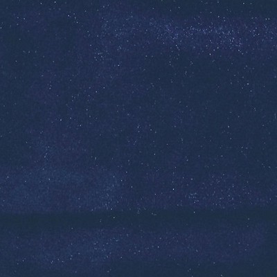 Scalamandre VITUS PRUSSIAN