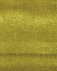 Scalamandre Vitus Chartreuse Fabric