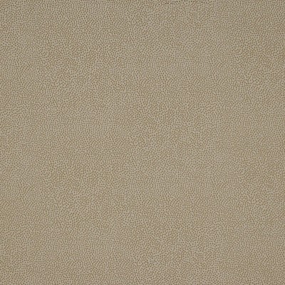 Scalamandre PHOENIX DOT BONE