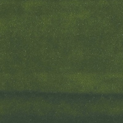 Scalamandre VITUS FERN