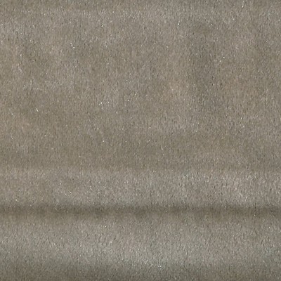 Scalamandre VITUS PUTTY