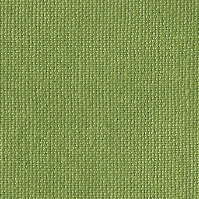 Scalamandre CASALINO GRASS