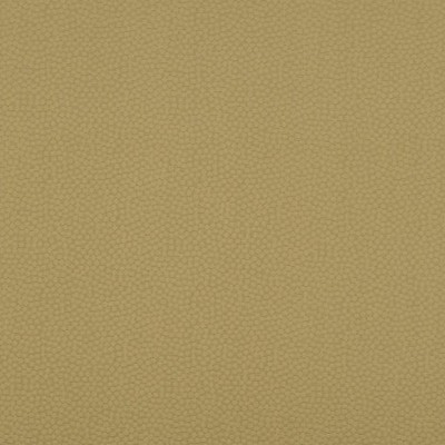 Scalamandre STERLING ANTIQUE GOLD