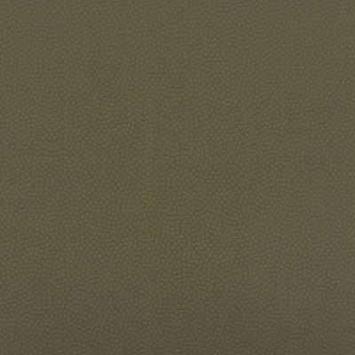 Scalamandre STERLING OLIVE