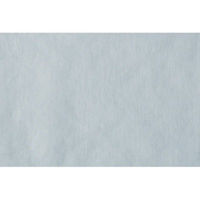 Scalamandre LEGERE DOVE