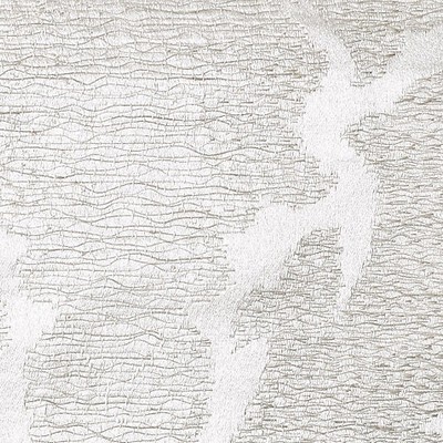 Scalamandre PALAZZO FEATHER