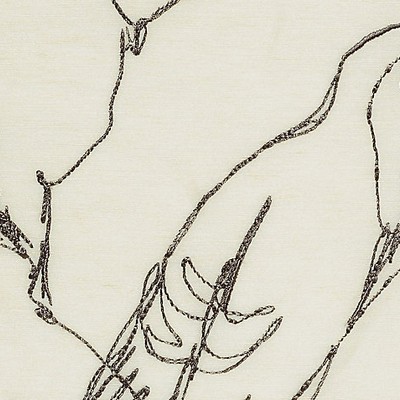 Scalamandre MELOPEE SPARROW