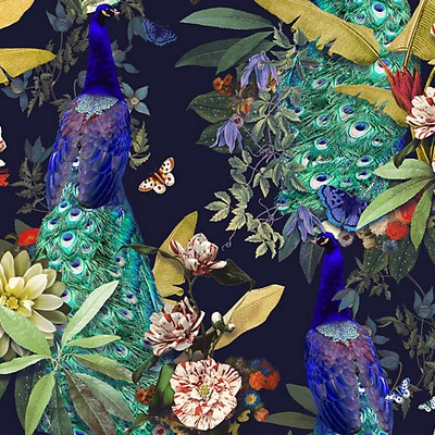 Scalamandre PEACOCK SOCIETY PEACOCK