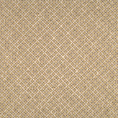 Scalamandre BELGRAVIA TRELLIS COLONIALE