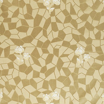 Scalamandre RE SOLE COORDINATO PERLA