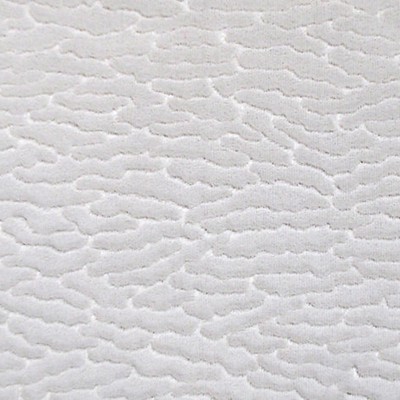 Scalamandre ERACLE GOFFRATO BIANCO