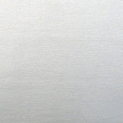 Scalamandre RAKU UNITO BEIGE CHIARO