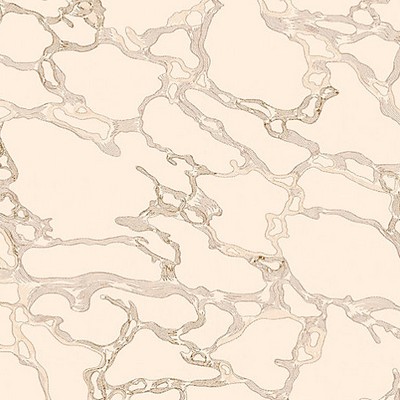 Scalamandre Wallcoverings MARBLE BOTTICINO