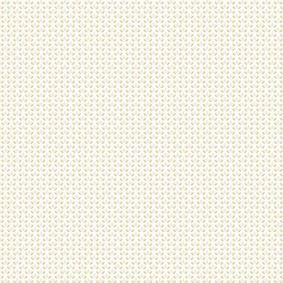 Scalamandre Wallcoverings NINFA TRELLIS - WALLPAPER AVORIO