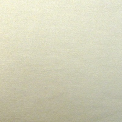 Scalamandre RAKU UNITO BEIGE