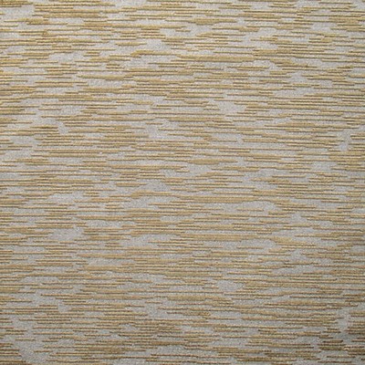 Scalamandre EDO COORDINATO TORTORA