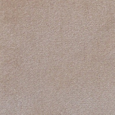 Scalamandre ARGO CASTORO