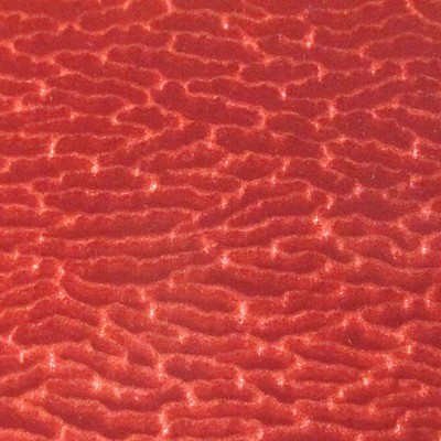 Scalamandre ERACLE GOFFRATO BAROLO