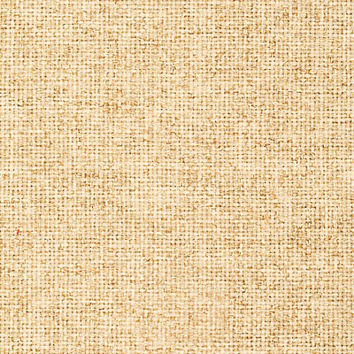 Scalamandre GIASONE FR PAGLIA