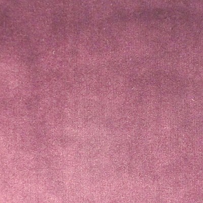 Scalamandre ERACLE BORDEAUX